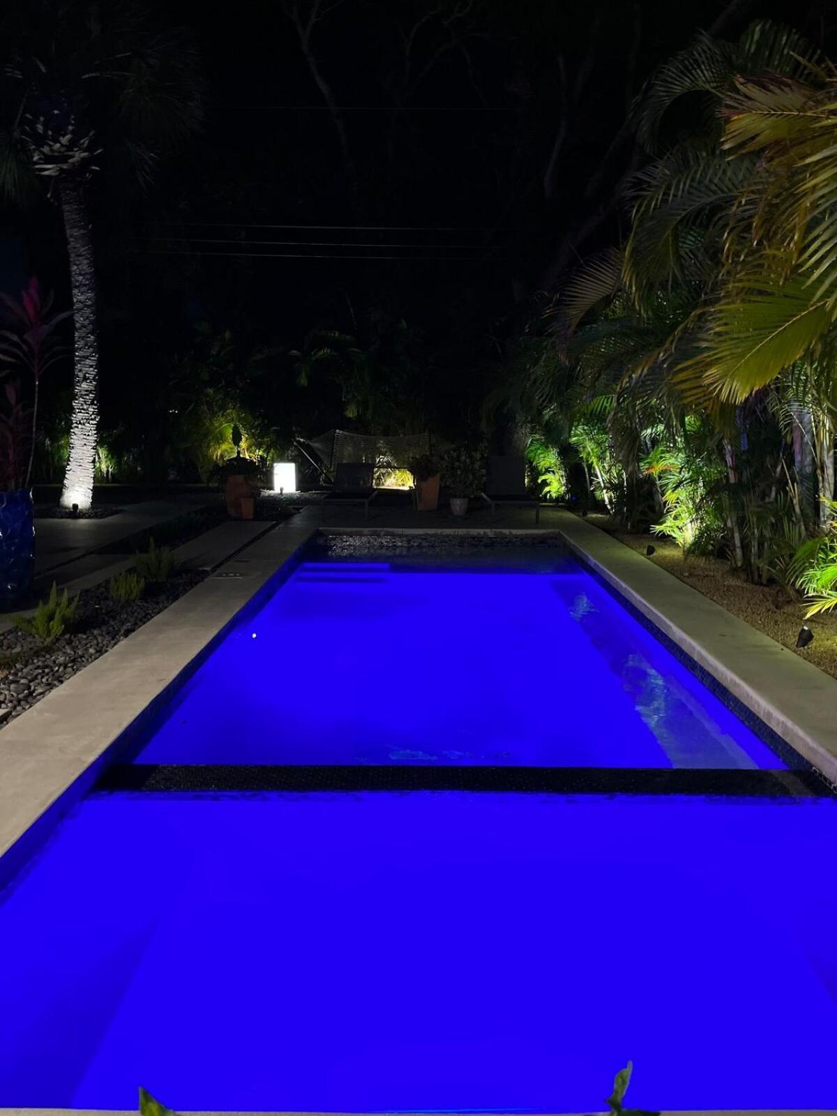 Hiddengem In Charming Sarasota, Florida Villa Exteriör bild